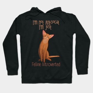 I'm not Antisocial - Abyssinian Cat Hoodie